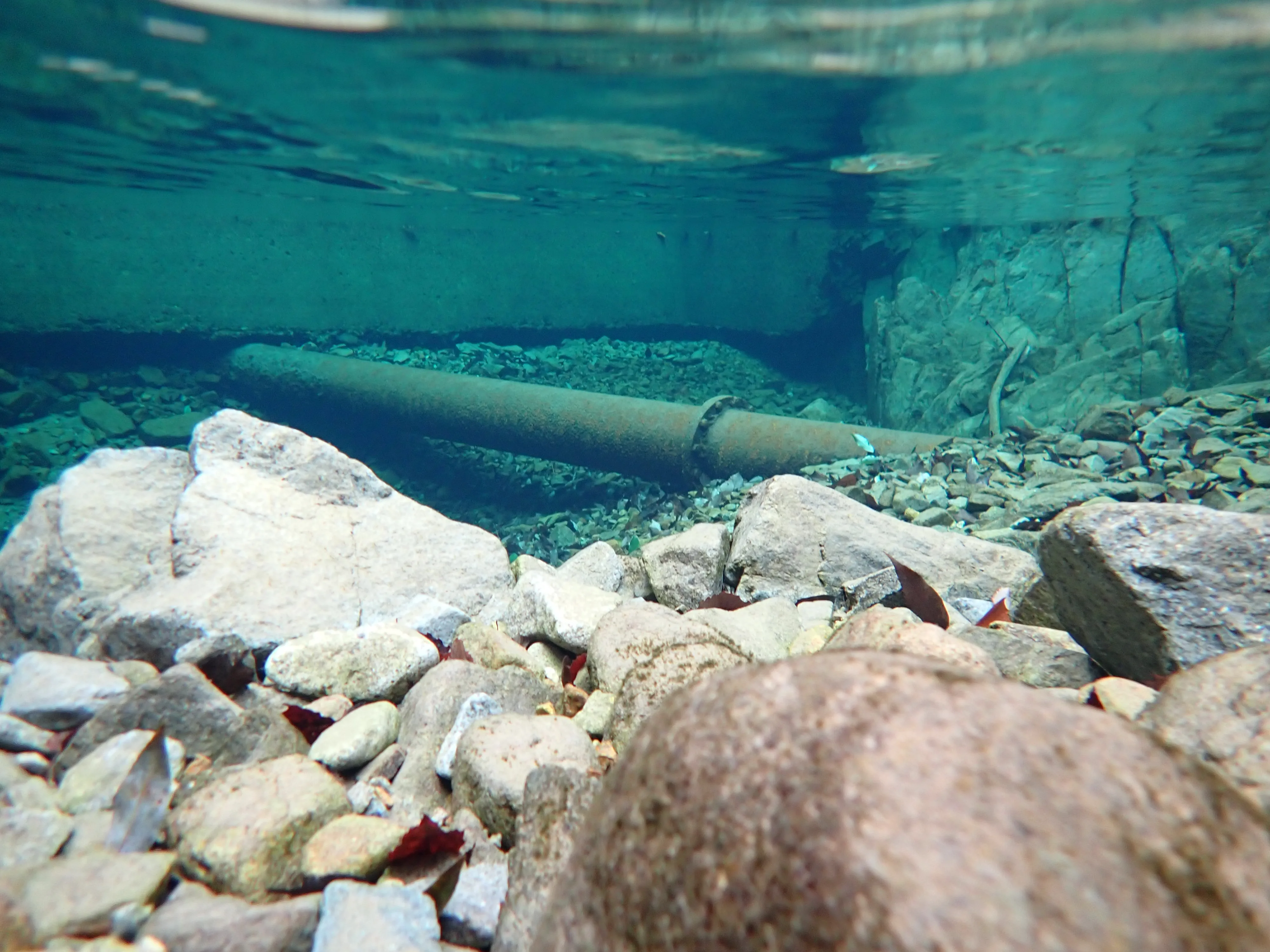 河川内の状況（河川砂防）